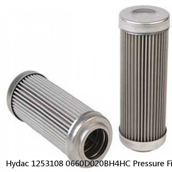 Hydac 1253108 0660D020BH4HC Pressure Filter Element #1 image