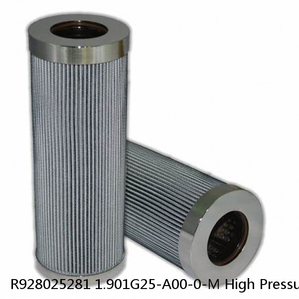 R928025281 1.901G25-A00-0-M High Pressure Rexroth Filter Element #1 image